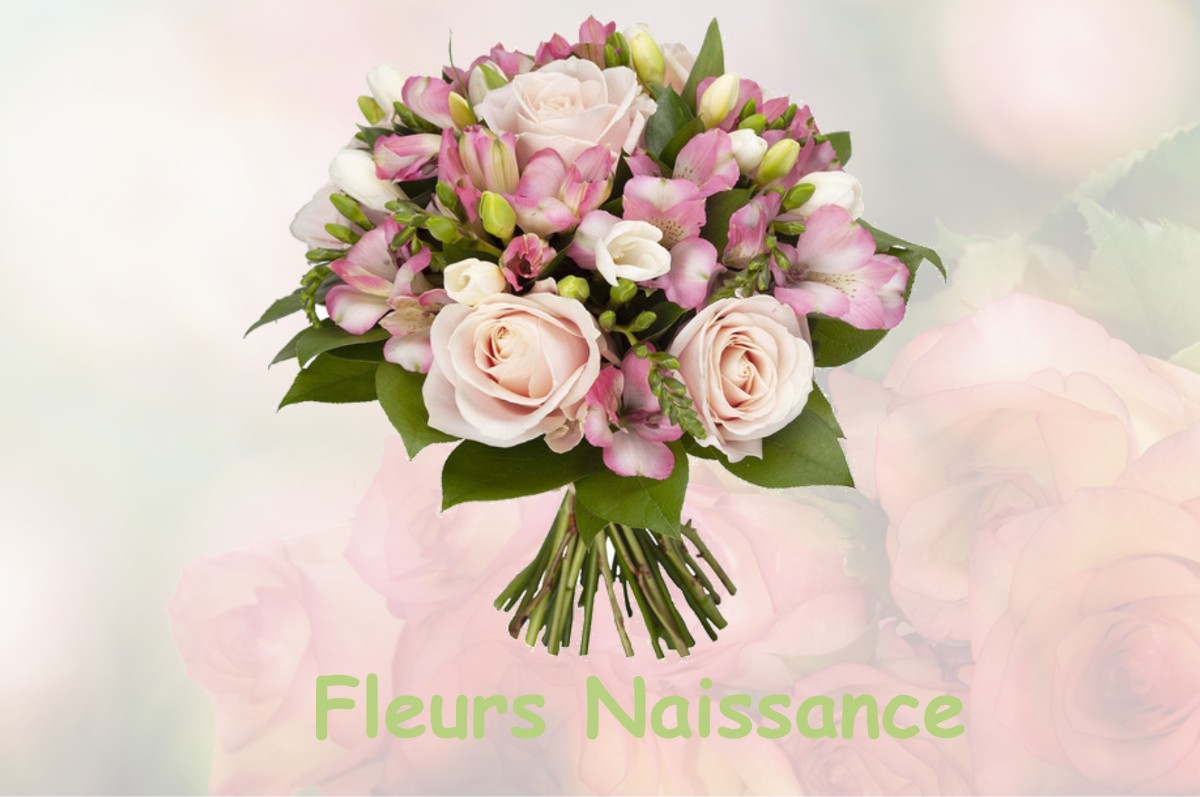 fleurs naissance FAUX-LA-MONTAGNE